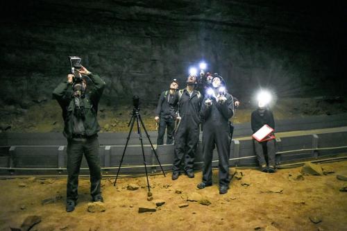 The Cost of Bats | By Justin Gilliland and Brittany Moore | 2017